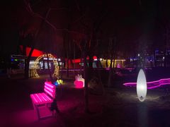 -枫花园汽车电影院(朝阳公园店)