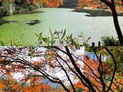 -钱江新城