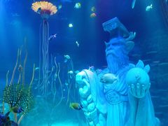 -沈阳海洋探索中心