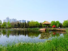 -西安浐灞国家湿地公园