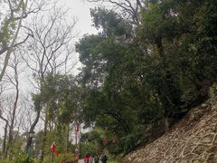 -三门江国家森林公园