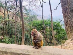 -黔灵山公园-南门售票处