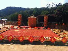 -沂蒙山旅游区云蒙景区(蒙山国家森林公园)