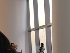 -Free Sky 云际观光层