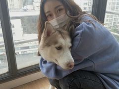 -Husky Go! 哈士奇体验馆·宠物咖啡厅狗咖