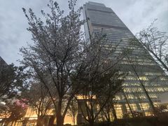 -自然博物馆(地铁站)