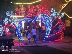 -呀路古热带植物园