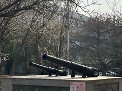 -桃花堤公园
