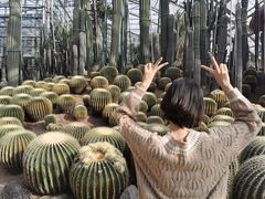 -南山植物园