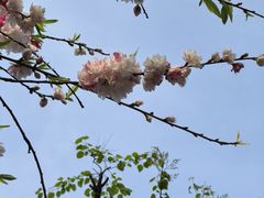 -木塔寺遗址生态公园