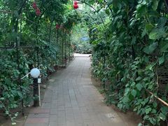-第五季龙水凤港生态露营农场