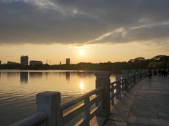 -海珠湖公园