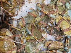 -镇发活海鲜(Clementi)