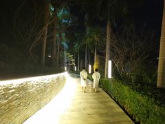 -广州市流溪河国家森林公园