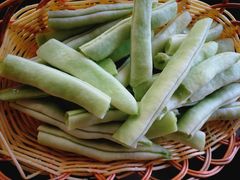 豆角-姥家大锅台水库渔家