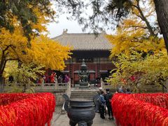 -红螺寺