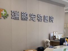 -瑞鹏宠物医院·骨科·猫科·内科(第一中心)