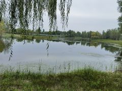 -野鸭湖国家湿地公园