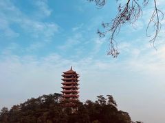 -缙云山景区