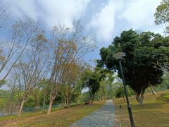 -东莞植物园