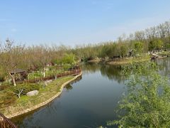 -合肥滨湖国家森林公园