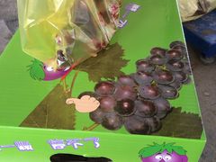 -马陆小张葡萄园农家乐