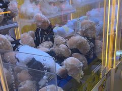 -风云再起游乐汇(北京西单西西友谊店)