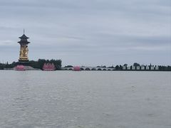 -溱湖国家湿地公园