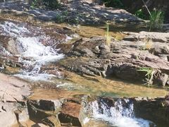 -广州白江湖森林公园