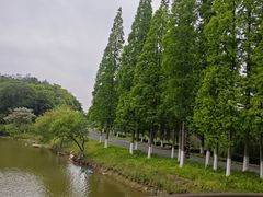 -宜兴龙背山森林公园