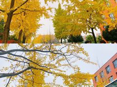 -西南民族大学南区(双流校区)