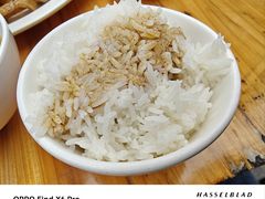 -乌文新澄海卤鹅店