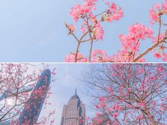 -海心沙亚运公园