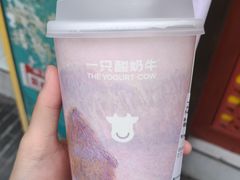 -一只酸奶牛(奎星楼店)