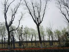 android_upload_pic-鹦鹉寺公园
