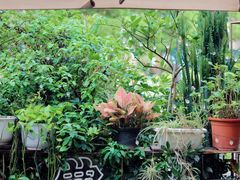 -农畉LONFOOD(福田星河COCOPark店)