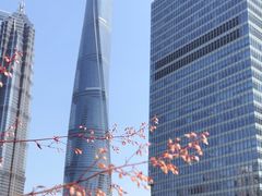 -上海中心大厦