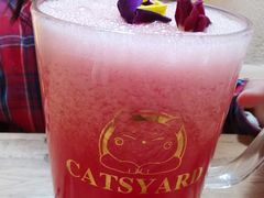 -猫小院猫主题餐厅(南锣旗舰店)