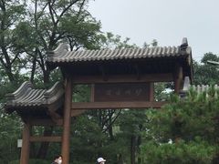 -阳台山自然风景区