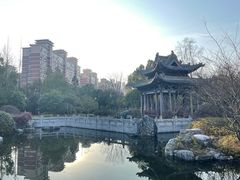 -武汉园博园(武汉自然博物馆)