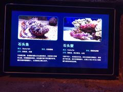 -波塞冬旅游度假区