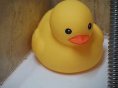 -南京维景国际大酒店(南京博物院店)