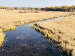 -塞罕坝国家级自然保护区