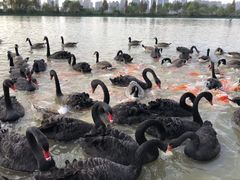 -艾溪湖湿地公园