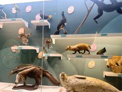 -国家自然博物馆