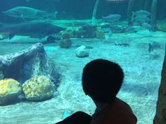 -华夏文旅海洋公园