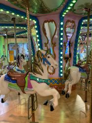 -卡通尼·Safari非洲探索乐园·生日会(金桥国际商业广场店)