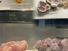 -中国地质博物馆