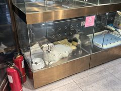 -FAELING PETS美天灵宠物(富力广场店)