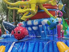 -长白岛森林公园